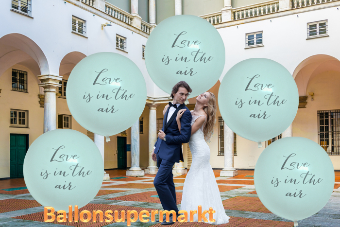 Love-is-in-the-air-grosse-luftballons-fotografie-hochzeit