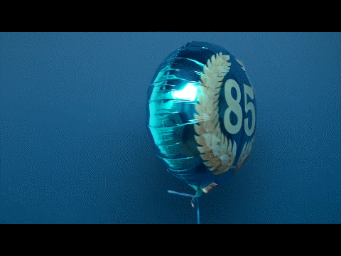 Luftballon-aus-Folie-zum-85.-Jubilaeum-Zahl-85-im-Lorbeerkranz.
