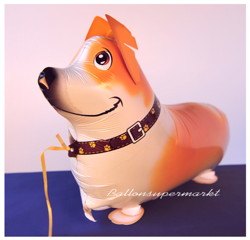 airwalker-luftballon-mit-helium-corgi-welsh-hund