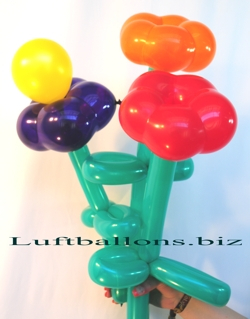 Dekoration aus Luftballons, Blütenluftballons und Modellier-Luftballons
