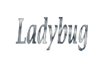 Ladybug