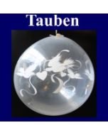 Tauben, Geschenkballons, Stuffer