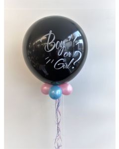 Gender Luftballon Girl or Boy ?