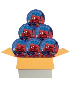 6 Stück Spider-Man luftballons im Karton, inklusive Helium