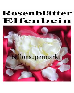 Rosenblätter Elfenbein