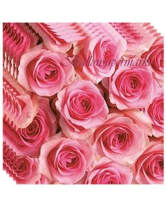 Servietten zur Hochzeit, Rosen, pink, Hochzeitsservietten, 20 Stück, 3-lagig